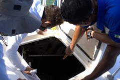 Revisión de a un catamaran de Cancun Sailing